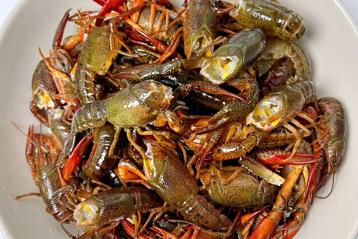 Freshly cleaned raw crawfish with trimmed heads piled in a light ceramic bowl